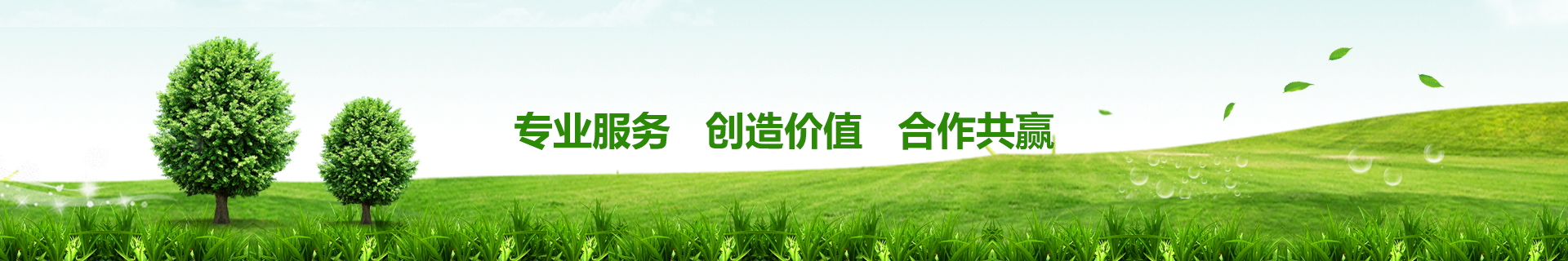 http://linlouhf.com/data/upload/202005/20200529145539_813.png